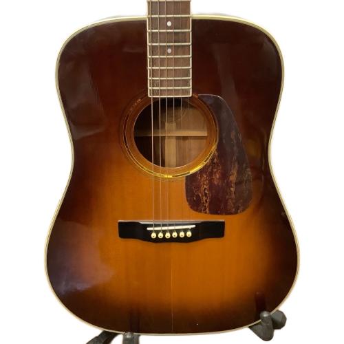 MORRIS (モーリス) アコースティックギター M601