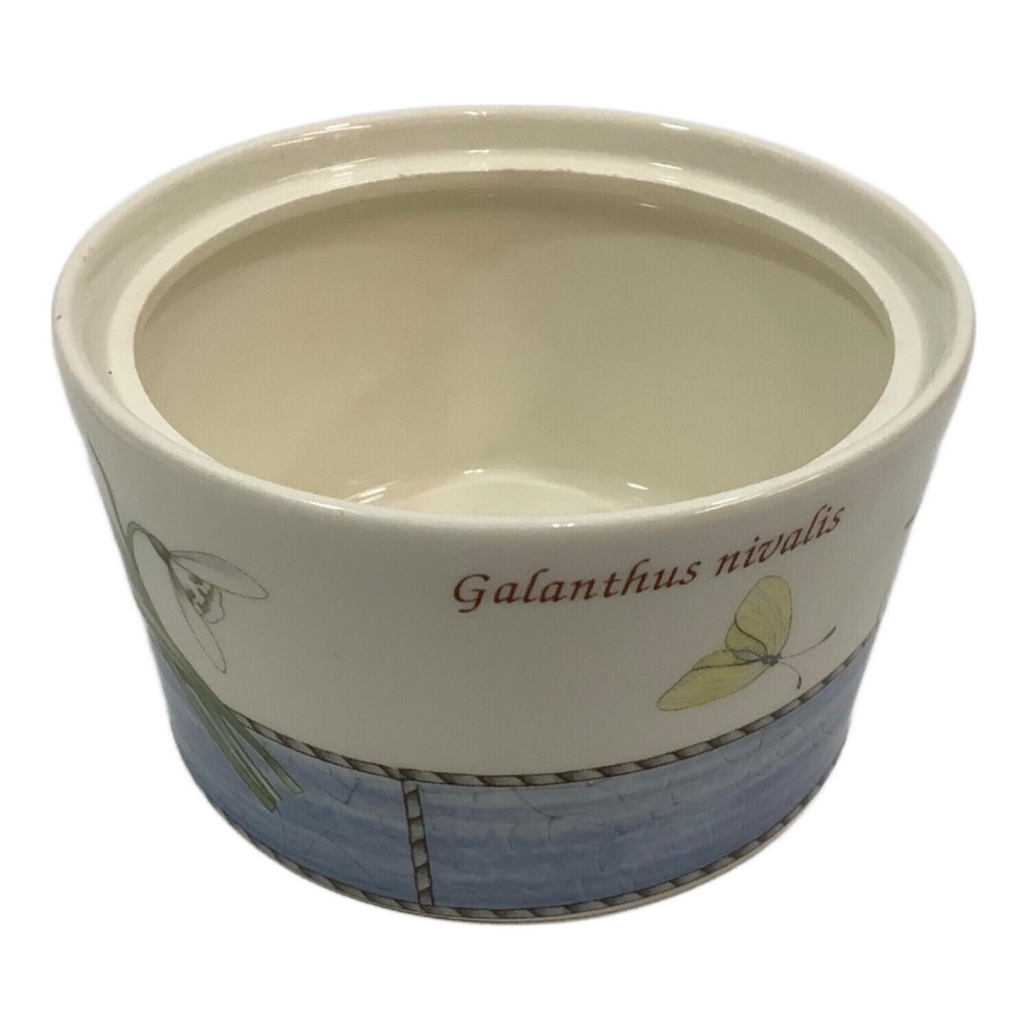 値下げ: ウェッジウッド Sarah's garden 5点セット×2箱 値下げ: ウェッジウッド Sarah's garden 5点セット×2箱