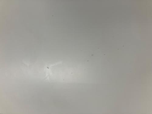 チェスト 取っ手薔薇 ホワイト