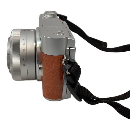 Panasonic (パナソニック) ミラーレス一眼カメラ LUMIX DC-GF9W-D ダブルレンズキット