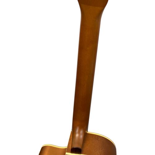 Art&Lutherie (アート＆ルシア) エレアコギター