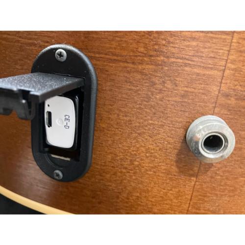 Art&Lutherie (アート＆ルシア) エレアコギター