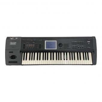 KORG (コルグ) シンセサイザー TRI-EXTBK61 限定カラーバージョン