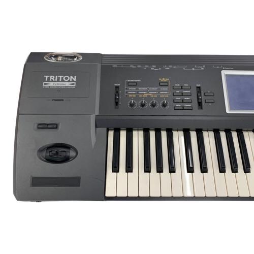 KORG (コルグ) シンセサイザー TRI-EXTBK61 限定カラーバージョン