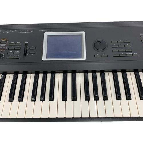 KORG (コルグ) シンセサイザー TRI-EXTBK61 限定カラーバージョン