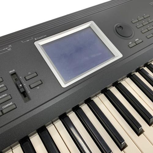 KORG (コルグ) シンセサイザー TRI-EXTBK61 限定カラーバージョン