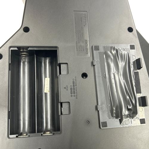 CASIO (カシオ) デジタルギター DG-20