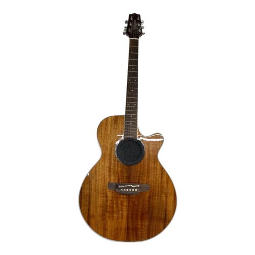 Takamine (タカミネ) エレアコギター @ PTU131KC N 動作確認済み 54120137