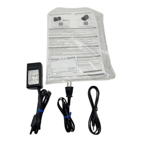 BOSS (ボス) ストリートギターアンプ CUBE-ST2 CUBE-STREETⅡ 動作確認済み