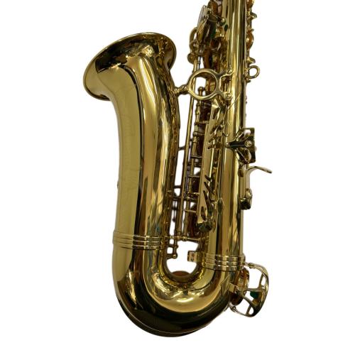J.Michael (Ｊマイケル) アルトサックス AL-780 未メンテナンス品/現場販売
