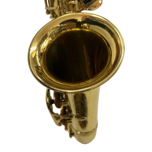 J.Michael (Ｊマイケル) アルトサックス AL-780 未メンテナンス品/現場販売