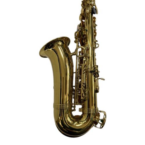 J.Michael (Ｊマイケル) アルトサックス AL-780 未メンテナンス品/現場販売