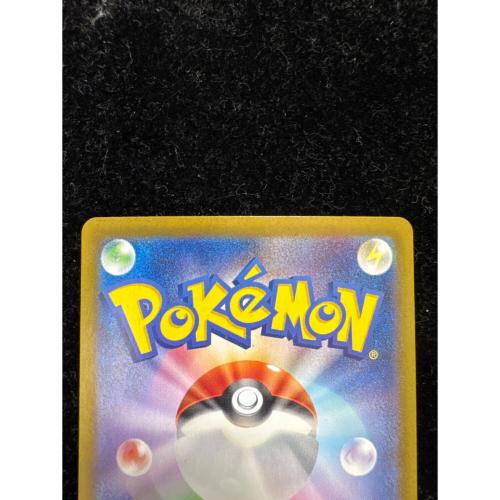 ナンジャモのハラバリー ポケモンカード 125/100 SAR
