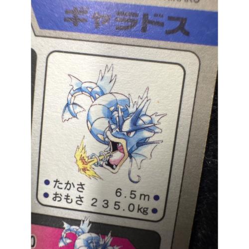 ギャラドス ポケモンカード 130 カードダス