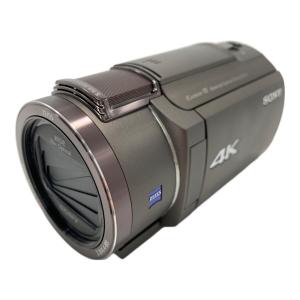 SONY (ソニー) デジタルビデオカメラ FDR-AX45