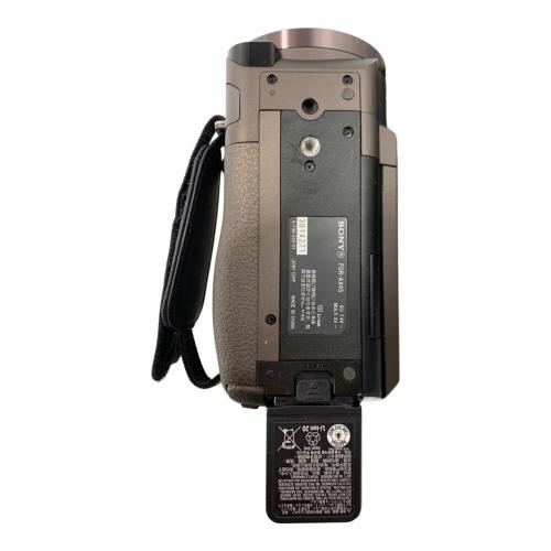 SONY (ソニー) デジタルビデオカメラ FDR-AX45