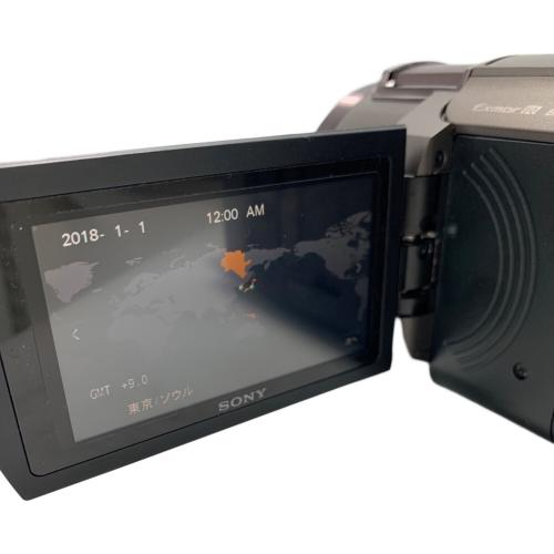 SONY (ソニー) デジタルビデオカメラ FDR-AX45