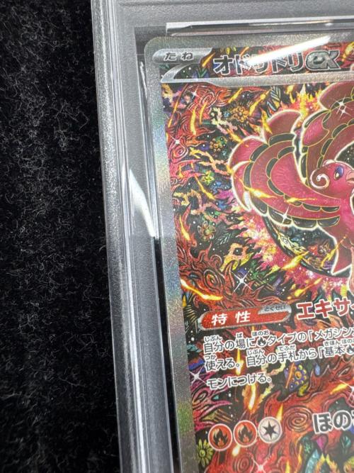 PSA10 オドリドリex ポケモンカード SAR