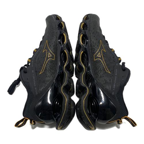 MIZUNO (ミズノ) ランニングシューズ J1GC245132 WAVE PROPHECY 13 メンズ SIZE 26.5cm ブラック