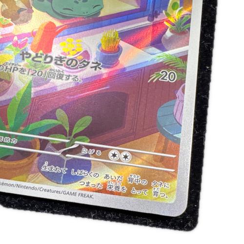 フシギダネ ポケモンカード