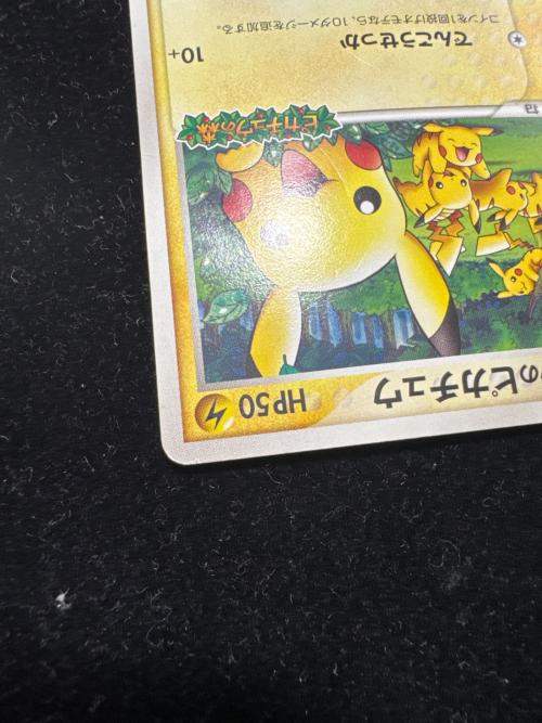 ポケパークのピカチュウ ポケモンカード