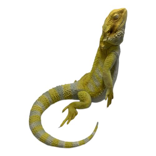 バンダイナムコ フトアゴヒゲトカゲ おやすみブックスタンド
