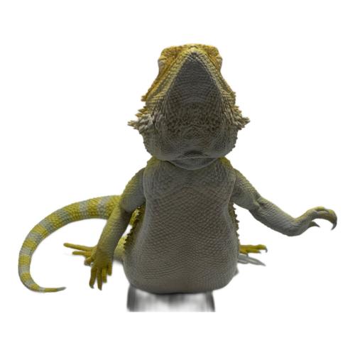バンダイナムコ フトアゴヒゲトカゲ おやすみブックスタンド
