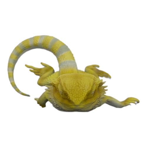 バンダイナムコ フトアゴヒゲトカゲ おやすみブックスタンド