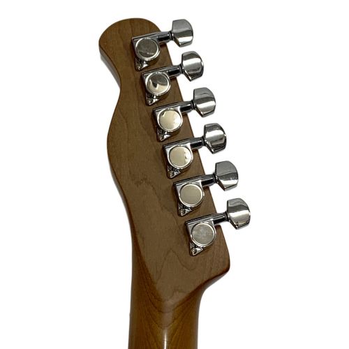 BUCCHUS (バッカス) エレキギター リアピックアップ交換有 BTE-2RSM/M