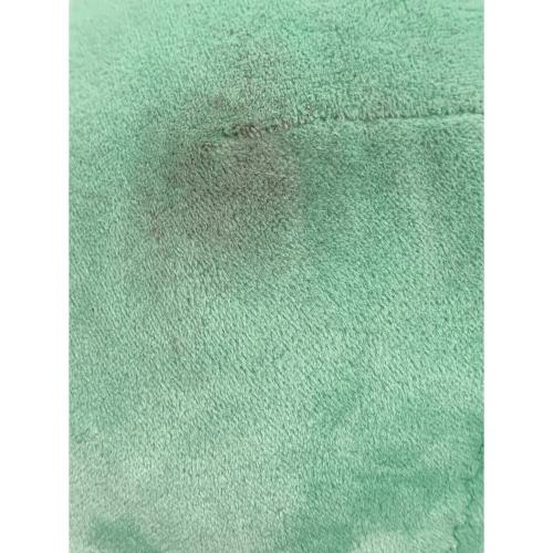 Pokemon Center (ポケモンセンター) ツタージャ @ 等身大ぬいぐるみ