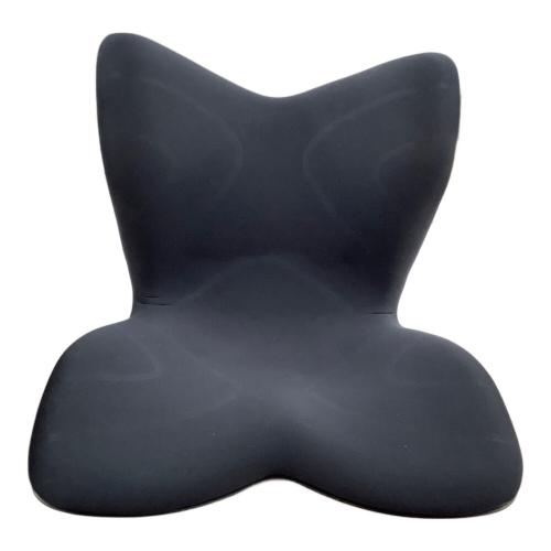 Style Premium (スタイルプレミアム) 骨盤チェア