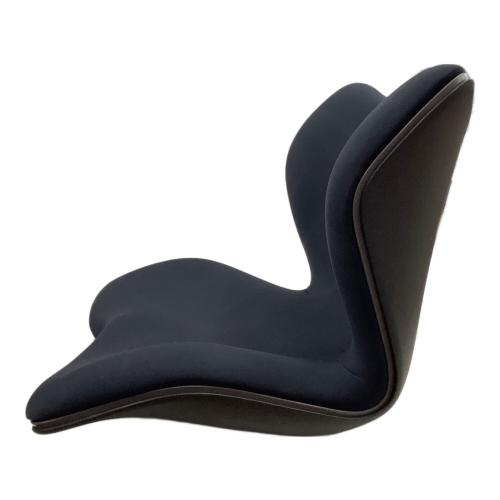 Style Premium (スタイルプレミアム) 骨盤チェア