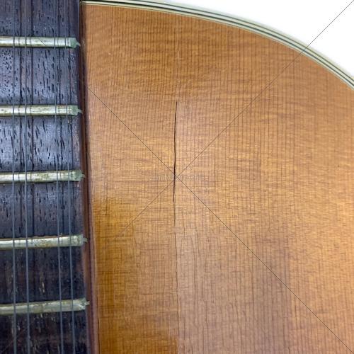 master (マスター) 12弦 アコースティックギター カワセ楽器 @