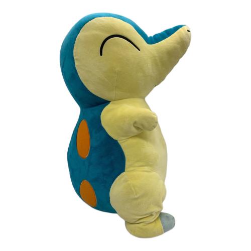 Pokemon Center (ポケモンセンター) ヒノアラシ ヌイグルミ ニオイ、ヨゴレ有