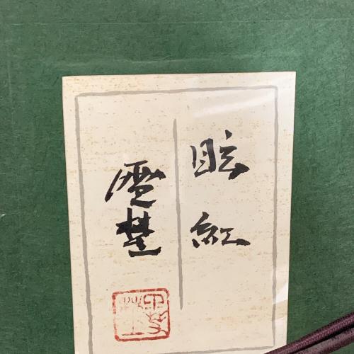 坂元雪埜 眩紅