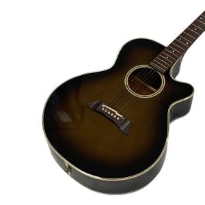 Takamine (タカミネ) エレキアコースティックギター PT106