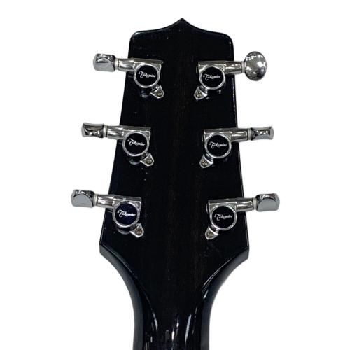 Takamine (タカミネ) エレキアコースティックギター PT106