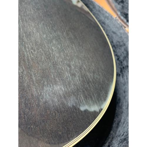 Takamine (タカミネ) エレキアコースティックギター PT106