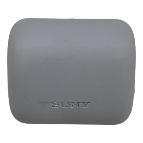 SONY (ソニー) ワイヤレスイヤホン WF-G700N