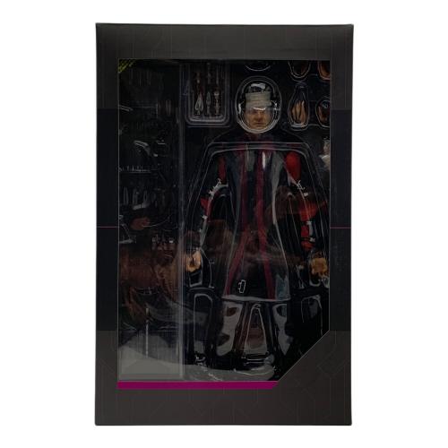 Hot toys (ホット トイズ) 1/6スケールコレクティブルフィギュア HAWKEYE 開封品 AVENGERS AGE OF ULTRON