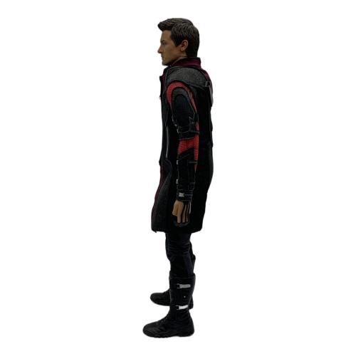 Hot toys (ホット トイズ) 1/6スケールコレクティブルフィギュア