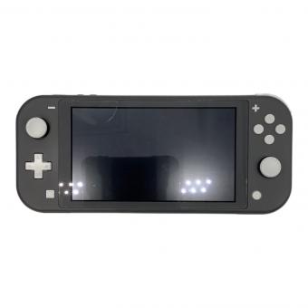 Nintendo (ニンテンドウ) Nintendo Switch Lite HDH-001 充電器付