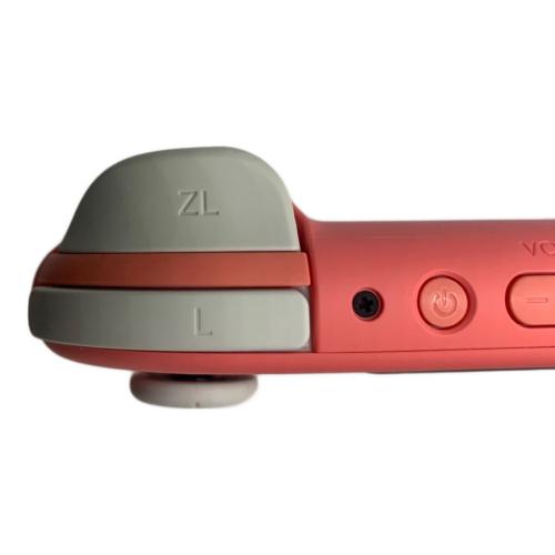 Nintendo (ニンテンドー) Nintendo Switch Lite HDH-001 ボタン汚れ有