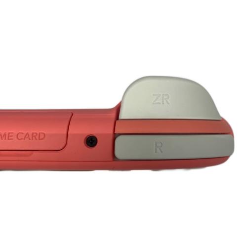 Nintendo (ニンテンドー) Nintendo Switch Lite HDH-001 ボタン汚れ有