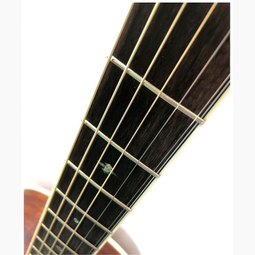 IBANEZ (アイバニーズ) アコースティックギター AVNK14LTD