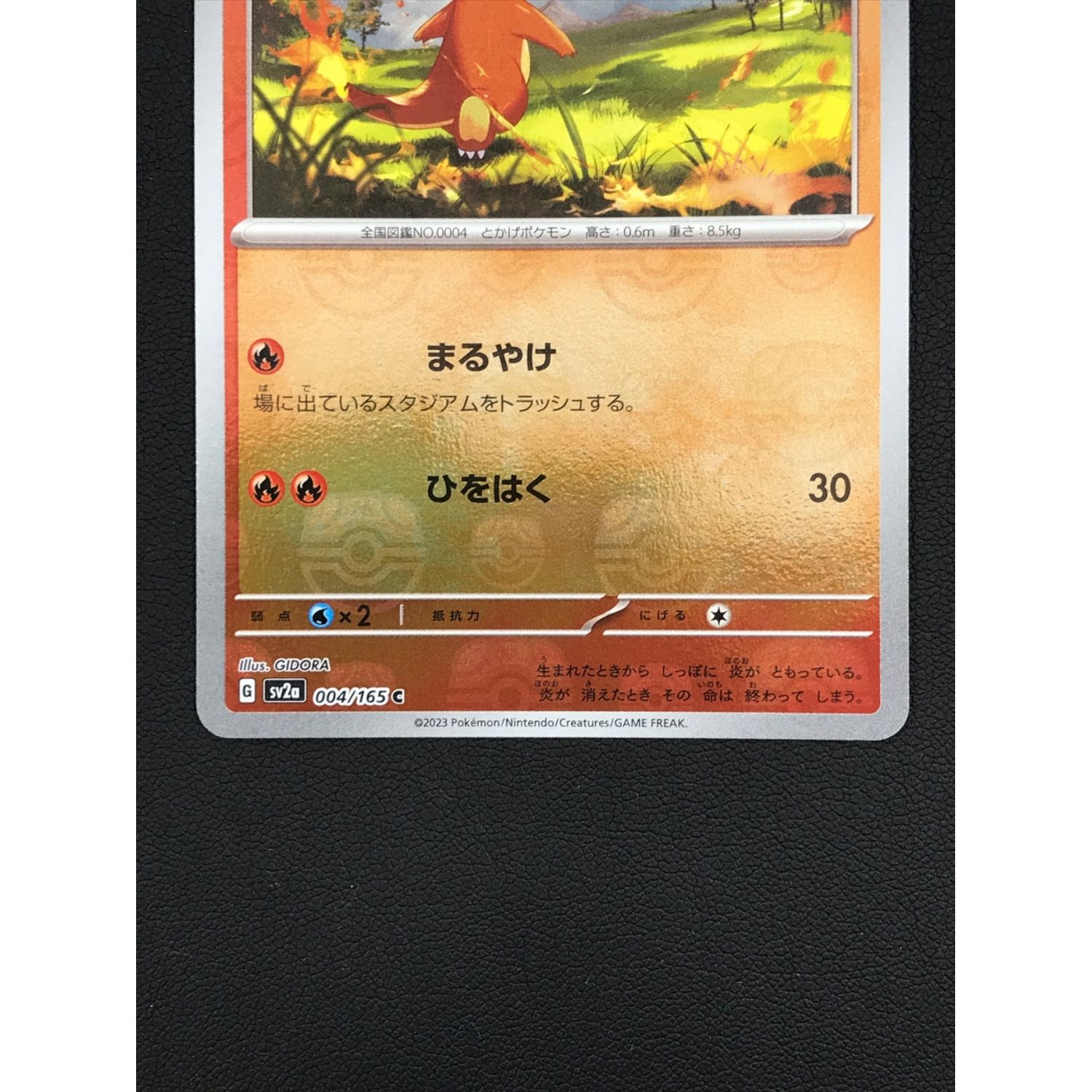 PSA鑑定品 PSA10 ヒトカゲ マスターボールミラー マスボミラー 151+