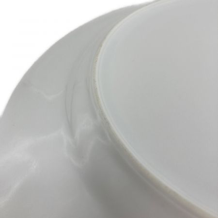 RICHARD GINORI (リチャードジノリ) プレート アンティコミレー