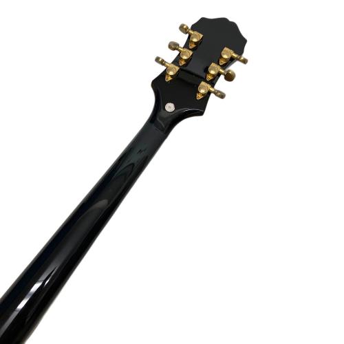 EPIPHONE (エピフォン) Sheraton Ⅱ