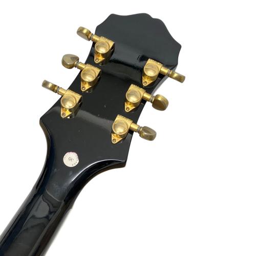 EPIPHONE (エピフォン) Sheraton Ⅱ
