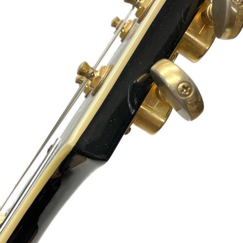 EPIPHONE (エピフォン) Sheraton Ⅱ